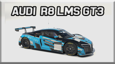 AUDI R8 LMS GT3 Setups