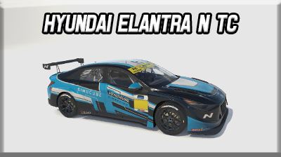 HYUNDAI ELANTRA N TC Setups